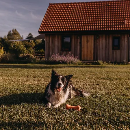 Dziadkowe Poletko Holiday home