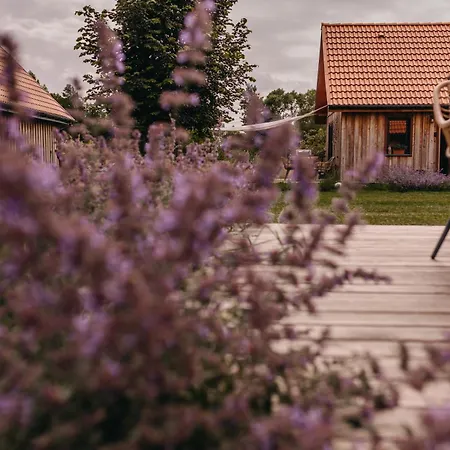 Holiday home Dziadkowe Poletko Sliwin