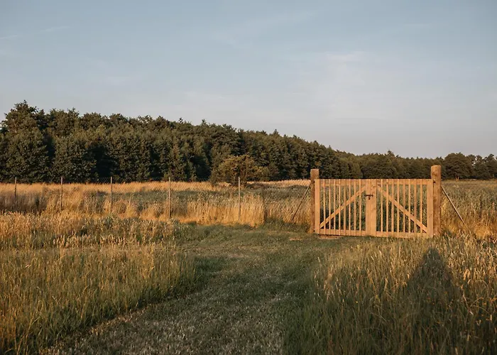 Dziadkowe Poletko Sliwin