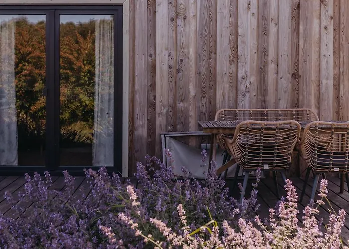 Dziadkowe Poletko 펜션 *