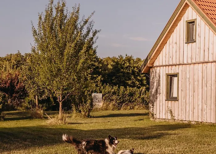 펜션 Dziadkowe Poletko Sliwin