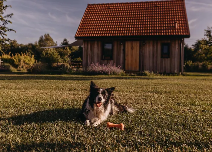 Dziadkowe Poletko 펜션