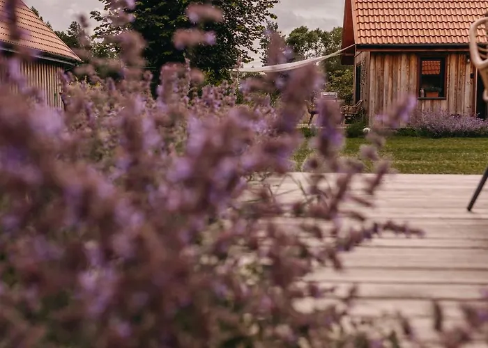 펜션 Dziadkowe Poletko Sliwin