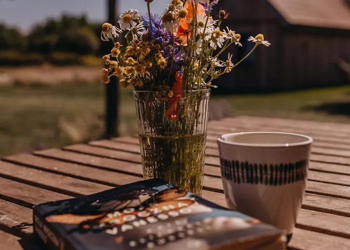 Dziadkowe Poletko Sliwin